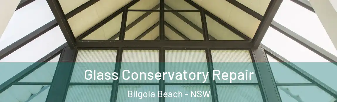  Glass Conservatory Repair Bilgola Beach - NSW