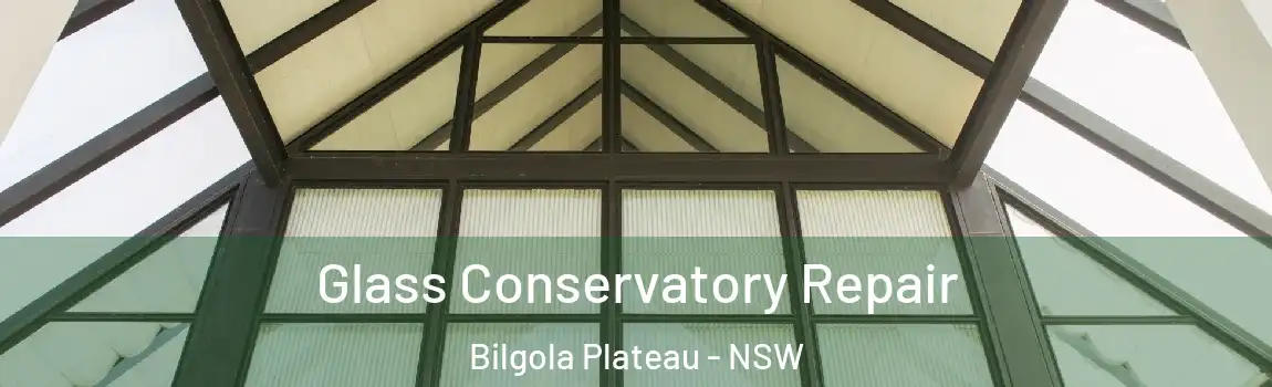  Glass Conservatory Repair Bilgola Plateau - NSW