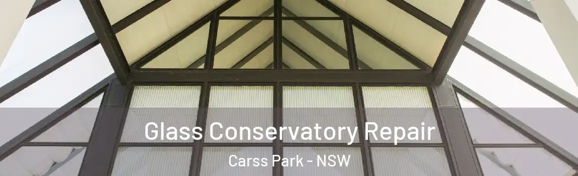 Glass Conservatory Repair Carss Park - NSW