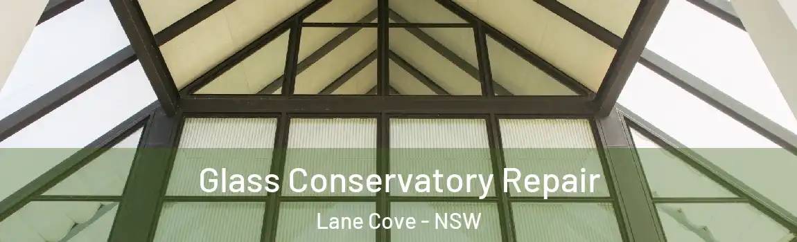  Glass Conservatory Repair Lane Cove - NSW