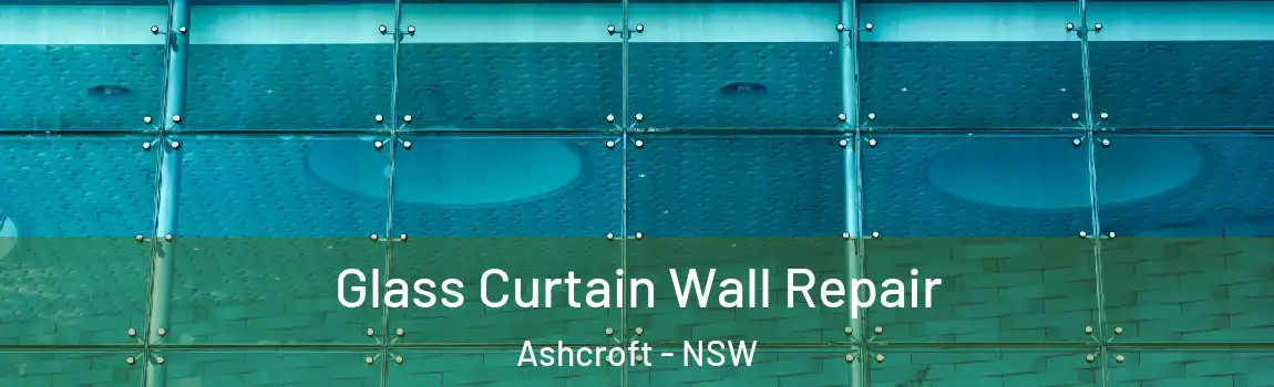  Glass Curtain Wall Repair Ashcroft - NSW