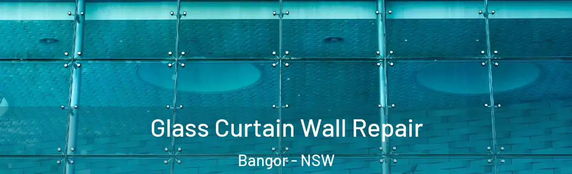  Glass Curtain Wall Repair Bangor - NSW