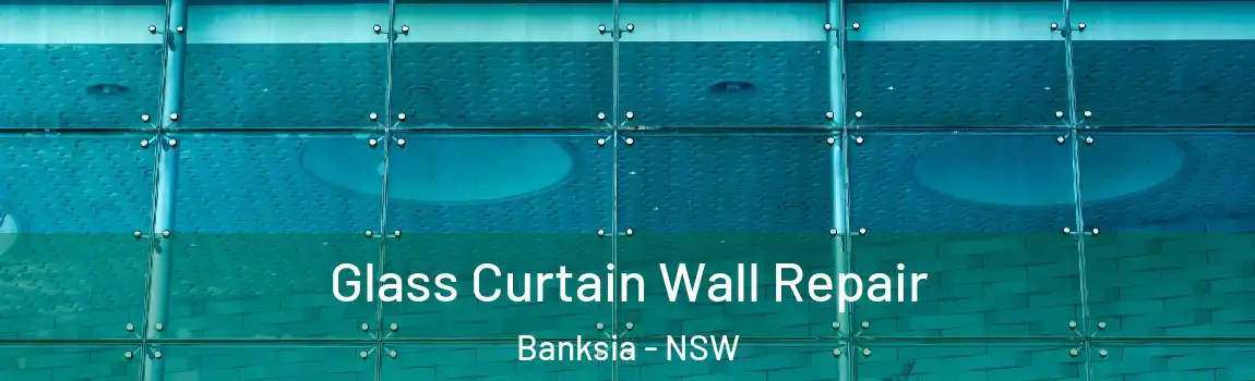  Glass Curtain Wall Repair Banksia - NSW