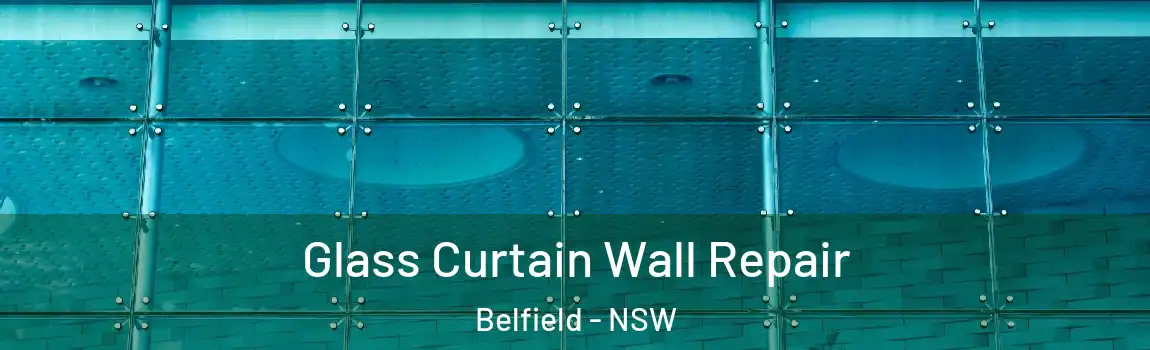  Glass Curtain Wall Repair Belfield - NSW