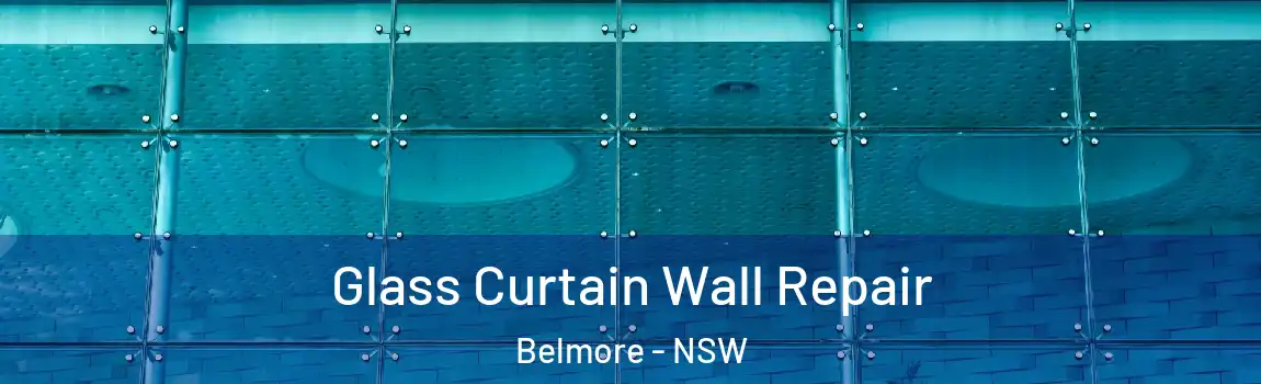  Glass Curtain Wall Repair Belmore - NSW