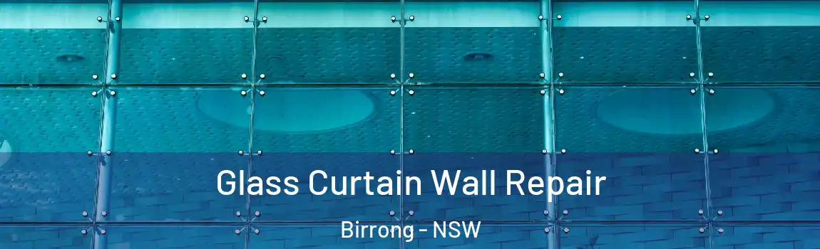  Glass Curtain Wall Repair Birrong - NSW