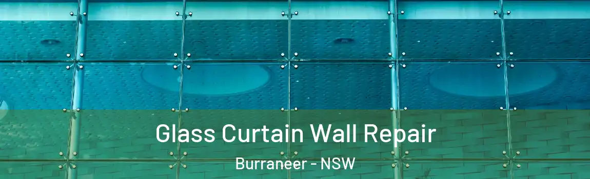  Glass Curtain Wall Repair Burraneer - NSW