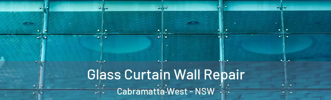  Glass Curtain Wall Repair Cabramatta West - NSW