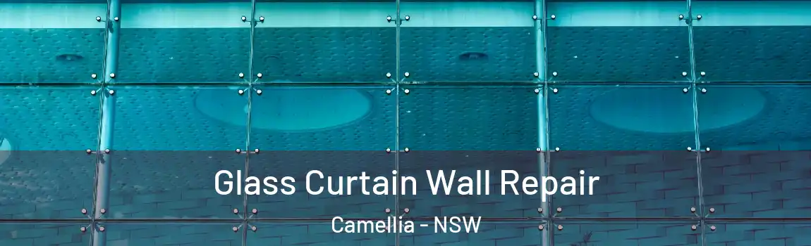  Glass Curtain Wall Repair Camellia - NSW