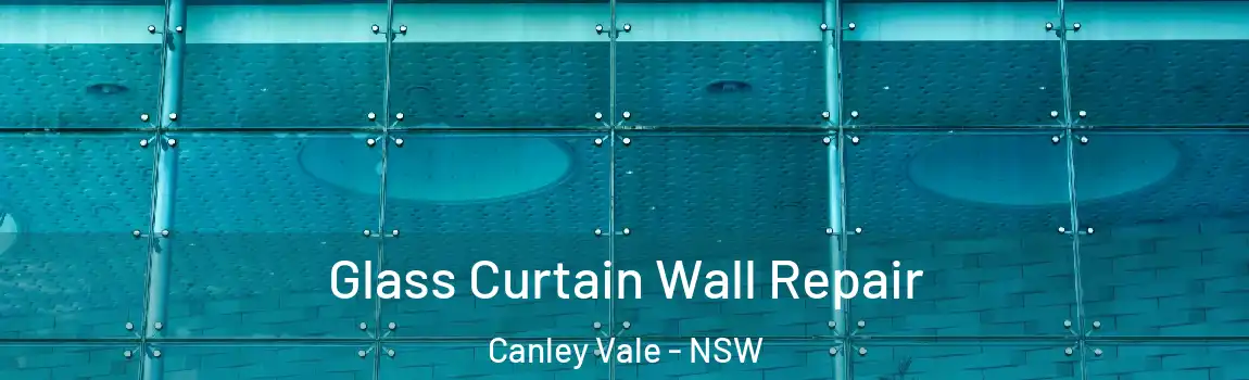  Glass Curtain Wall Repair Canley Vale - NSW