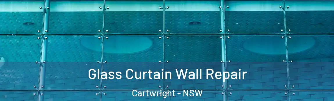  Glass Curtain Wall Repair Cartwright - NSW