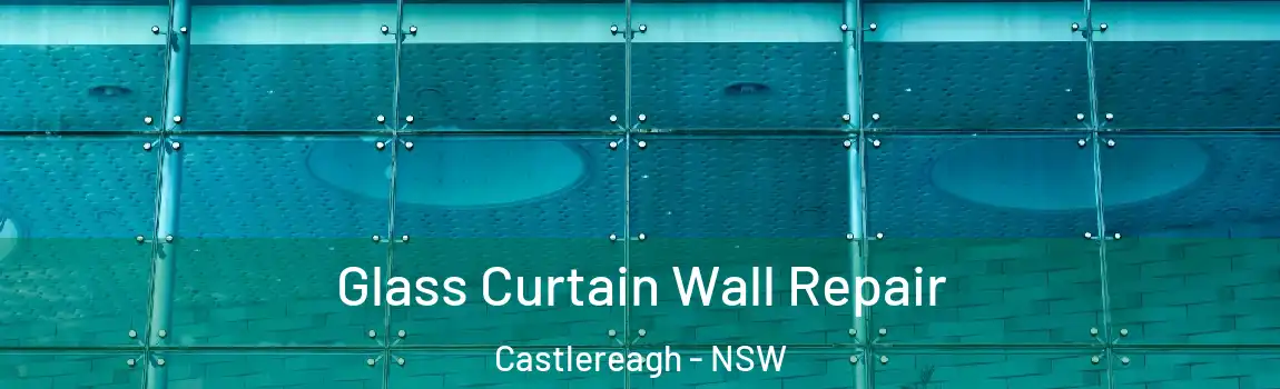  Glass Curtain Wall Repair Castlereagh - NSW