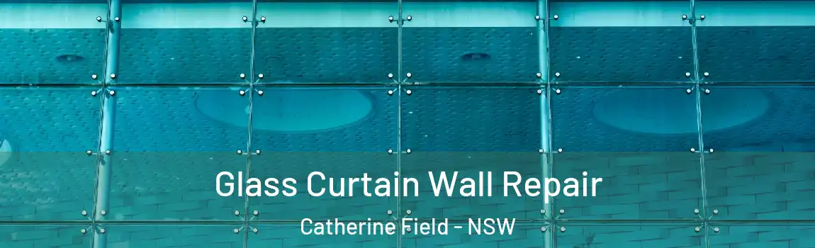  Glass Curtain Wall Repair Catherine Field - NSW