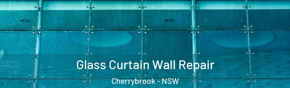 Glass Curtain Wall Repair Cherrybrook - NSW