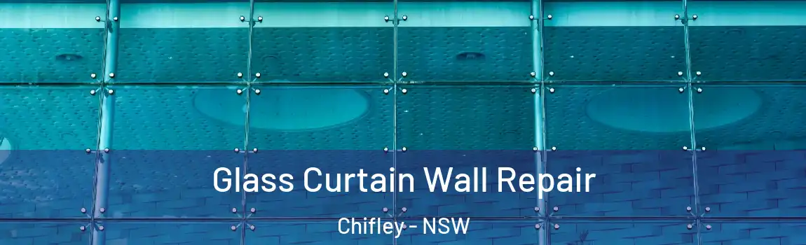  Glass Curtain Wall Repair Chifley - NSW