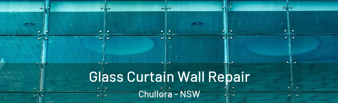  Glass Curtain Wall Repair Chullora - NSW