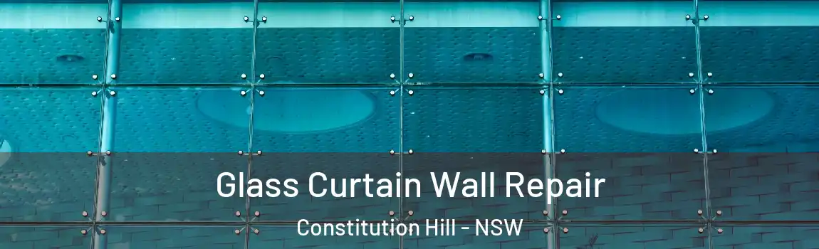  Glass Curtain Wall Repair Constitution Hill - NSW