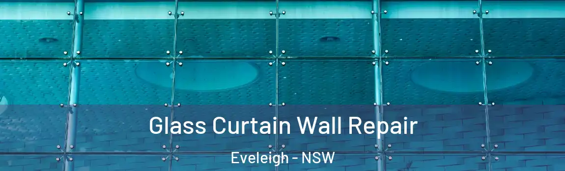  Glass Curtain Wall Repair Eveleigh - NSW