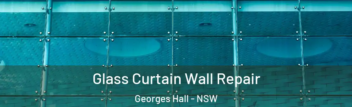  Glass Curtain Wall Repair Georges Hall - NSW