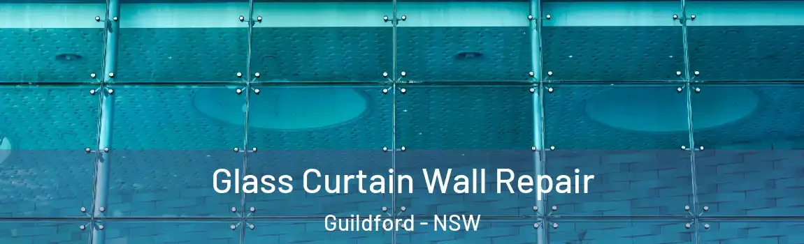 Glass Curtain Wall Repair Guildford - NSW
