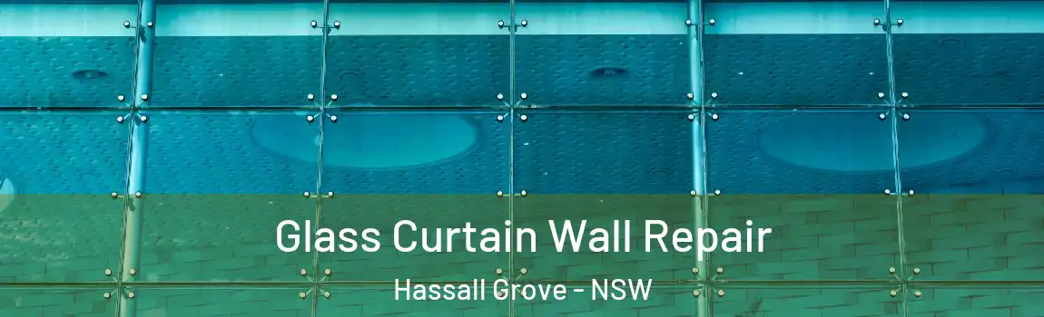  Glass Curtain Wall Repair Hassall Grove - NSW