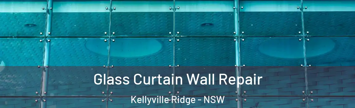  Glass Curtain Wall Repair Kellyville Ridge - NSW