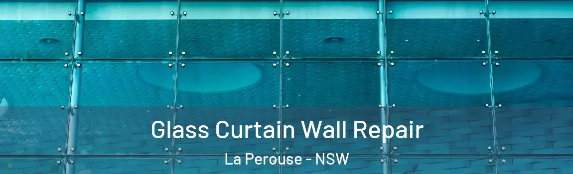  Glass Curtain Wall Repair La Perouse - NSW
