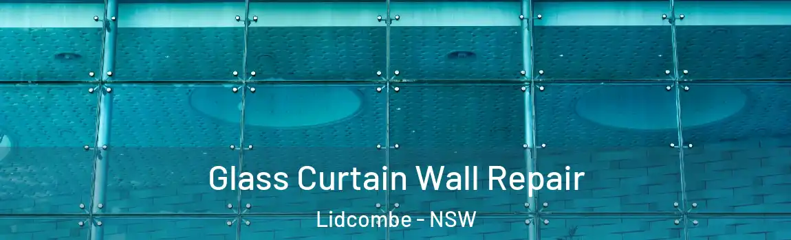  Glass Curtain Wall Repair Lidcombe - NSW