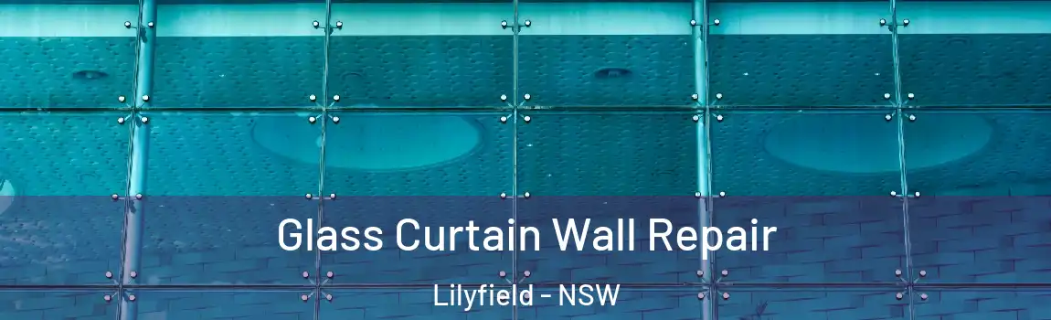  Glass Curtain Wall Repair Lilyfield - NSW