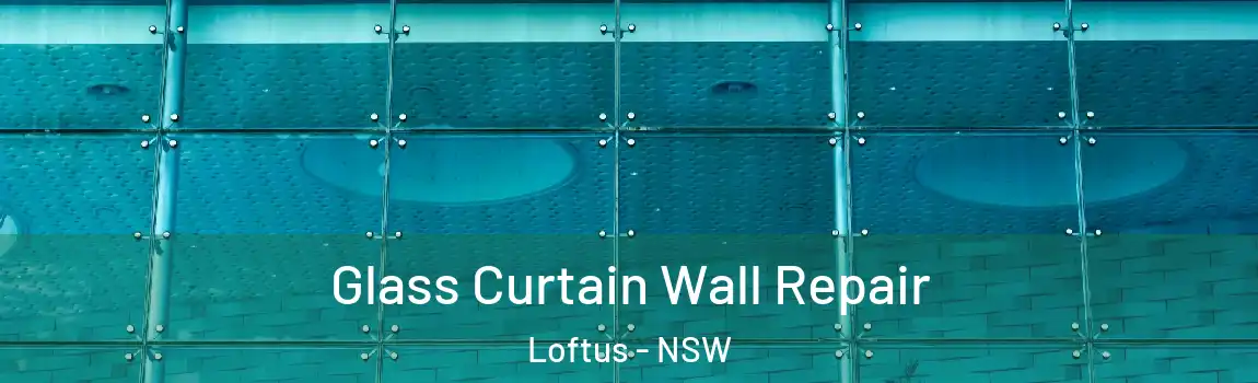  Glass Curtain Wall Repair Loftus - NSW