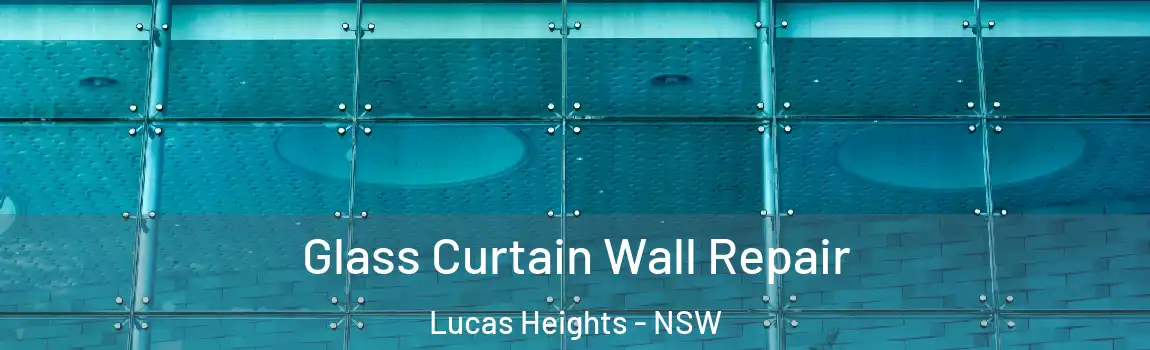  Glass Curtain Wall Repair Lucas Heights - NSW