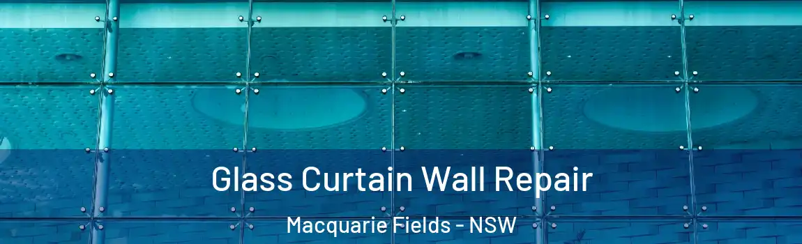  Glass Curtain Wall Repair Macquarie Fields - NSW