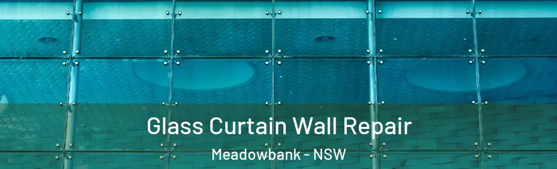  Glass Curtain Wall Repair Meadowbank - NSW