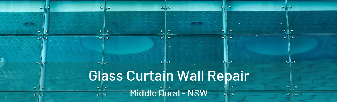  Glass Curtain Wall Repair Middle Dural - NSW