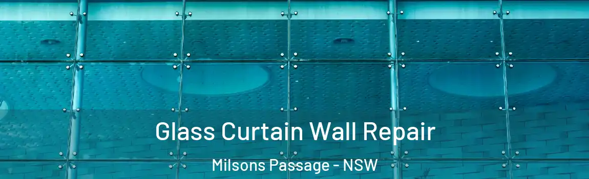  Glass Curtain Wall Repair Milsons Passage - NSW