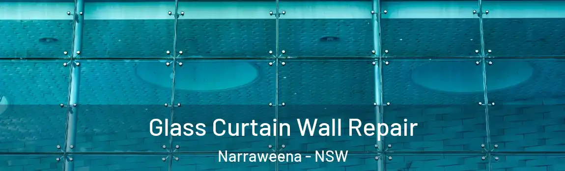  Glass Curtain Wall Repair Narraweena - NSW