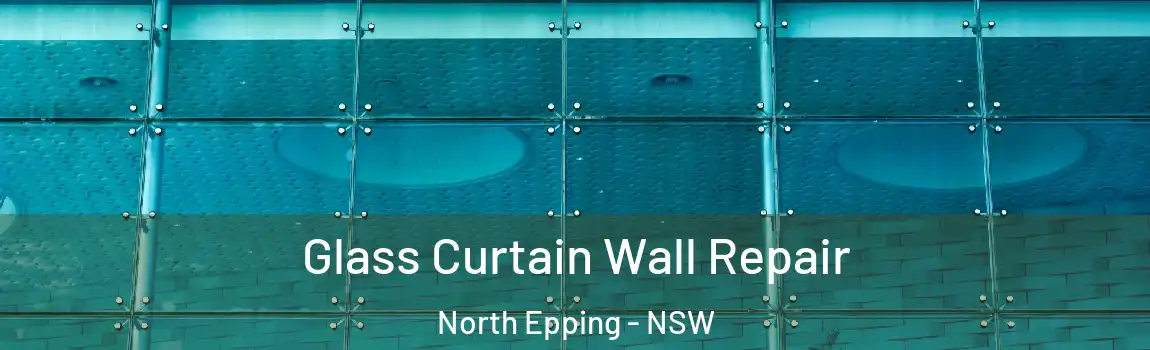  Glass Curtain Wall Repair North Epping - NSW