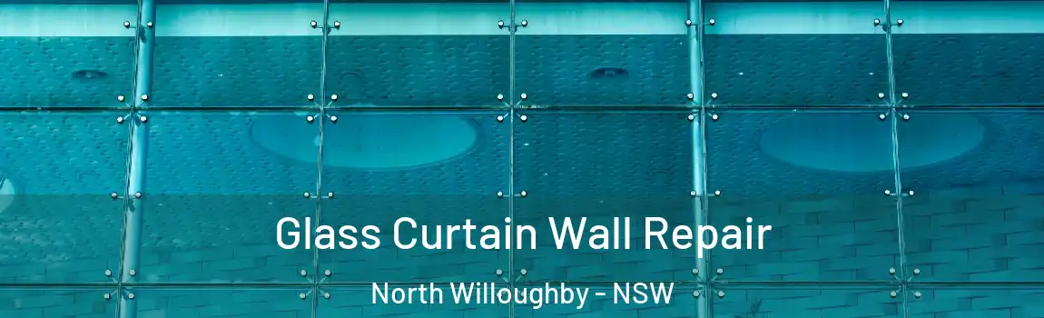  Glass Curtain Wall Repair North Willoughby - NSW