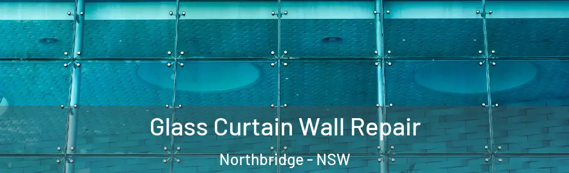  Glass Curtain Wall Repair Northbridge - NSW