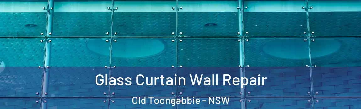  Glass Curtain Wall Repair Old Toongabbie - NSW
