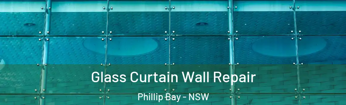  Glass Curtain Wall Repair Phillip Bay - NSW