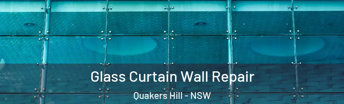  Glass Curtain Wall Repair Quakers Hill - NSW