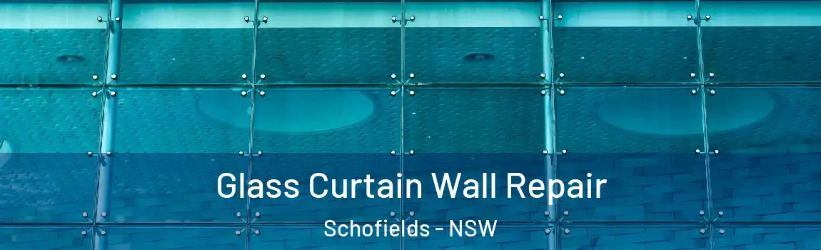  Glass Curtain Wall Repair Schofields - NSW
