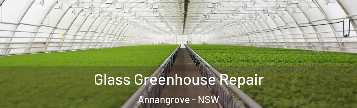 Glass Greenhouse Repair Annangrove - NSW