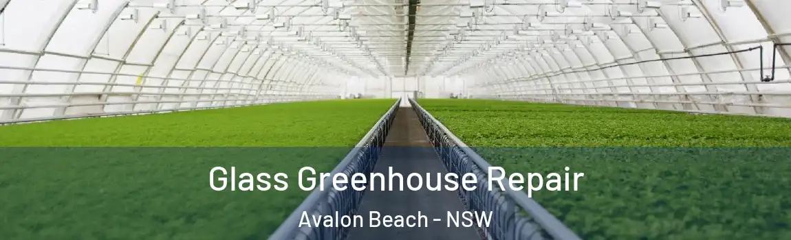 Glass Greenhouse Repair Avalon Beach - NSW