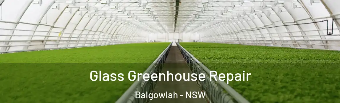  Glass Greenhouse Repair Balgowlah - NSW