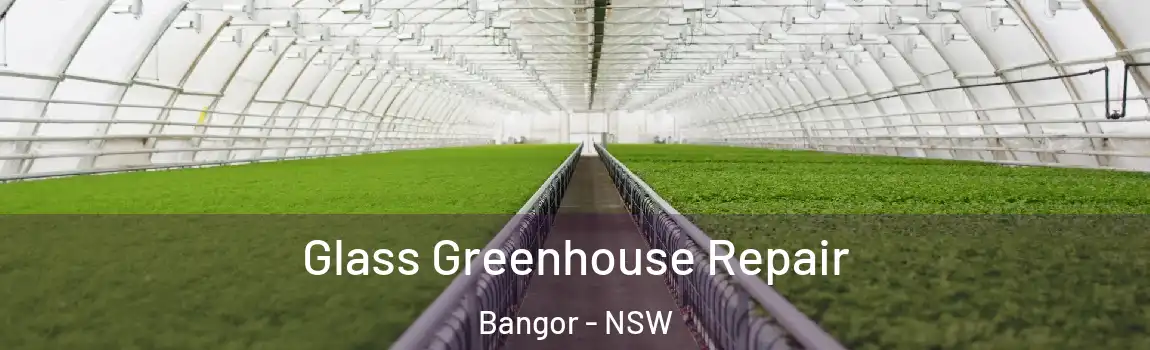  Glass Greenhouse Repair Bangor - NSW