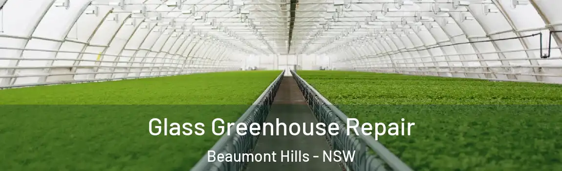  Glass Greenhouse Repair Beaumont Hills - NSW