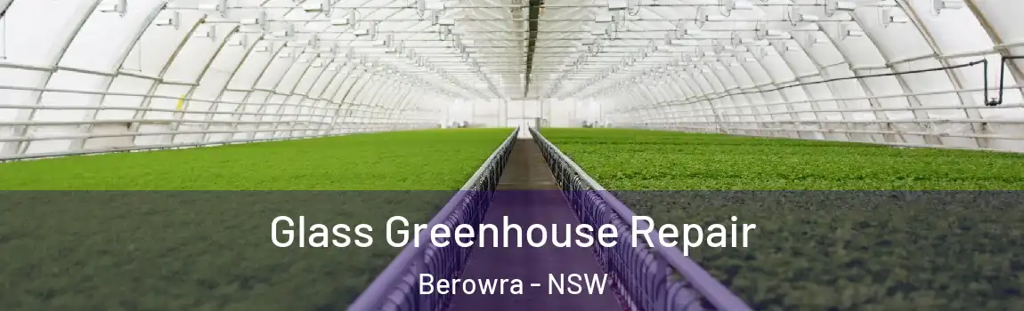  Glass Greenhouse Repair Berowra - NSW