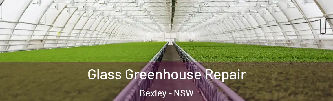  Glass Greenhouse Repair Bexley - NSW